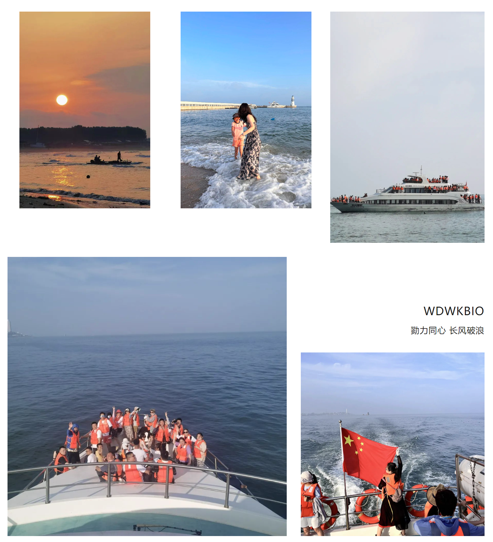 64c85bb1743e5.png 64c85bb1743e5.png