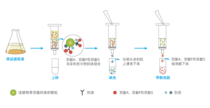 67eb606f478fa.jpg 67eb606f478fa.jpg